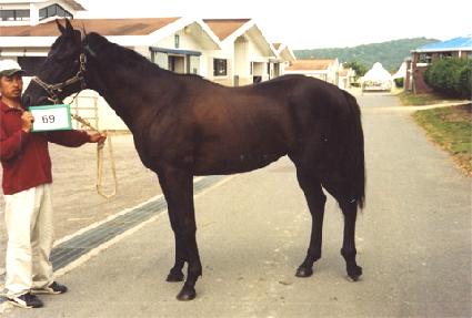 ž�귣�� ����