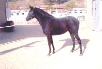 ����غ� (YEOKGYEONG GEUKBOK) ����