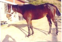 �������� (YEONHAP JAKJEON) ����