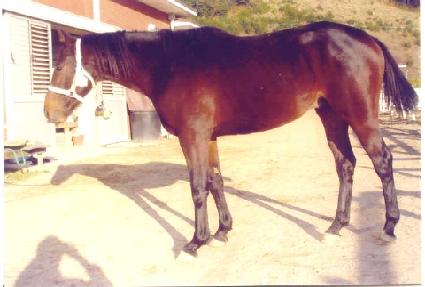 �������� ����