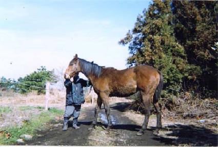 ��ġ���� ����