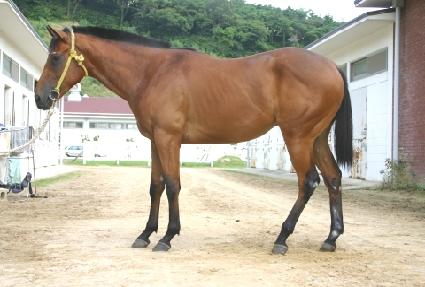 �ٴ��ͼ� ����