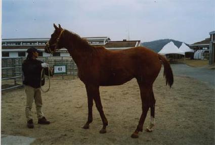 �ҿ� ����