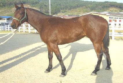 ���Ϻ� ����