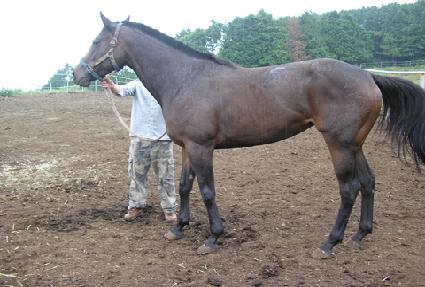 ��״��� ����