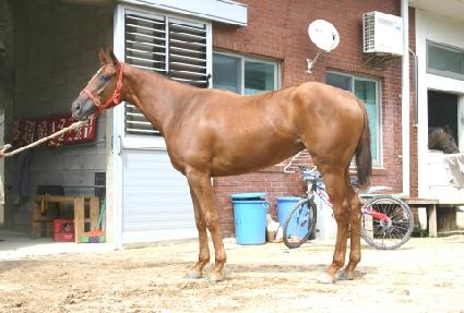 ������ ����