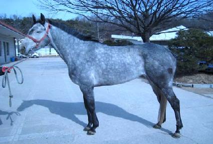 ������� ����