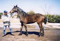 ���� (BOKJU) ����