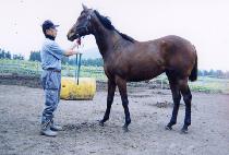 õ�󺸹� (CHEONSANG BOBAE) ����