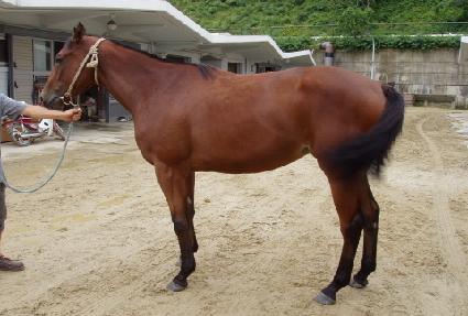 ��ǳ���� ����