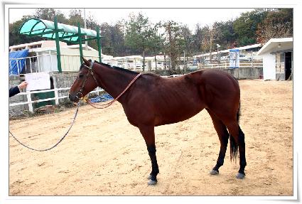 �밭�� ����