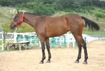 ������ȣ (SEONJIN GANGHO) ����