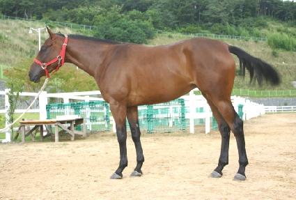 ������ȣ ����