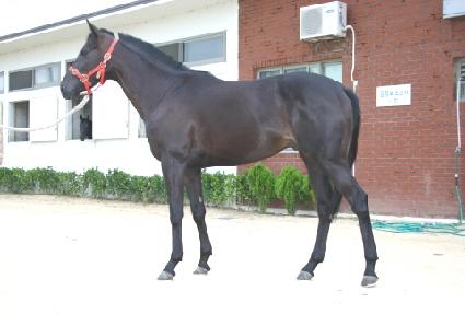 ����� ����