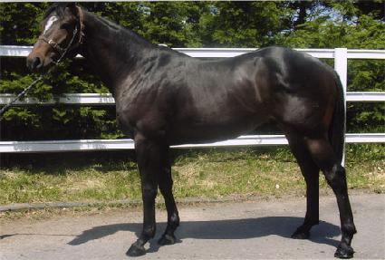 ���ձ� ����