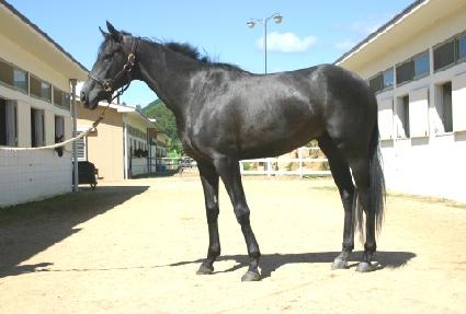 ������ũ ����