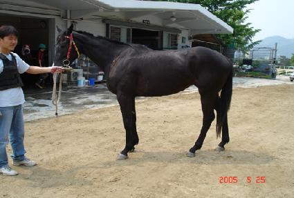 ���̴��� ����