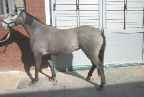 �Ƹ��ٴ� (AREUM BADA) ����