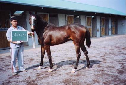 ����Ʈè�� ����