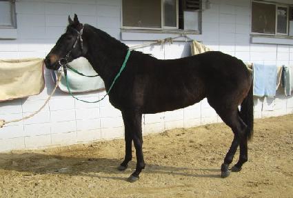 �ղ� ����