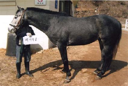 ����Ư�� ����