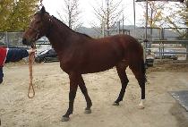 �ѾƸ� (HANAREUM) ����