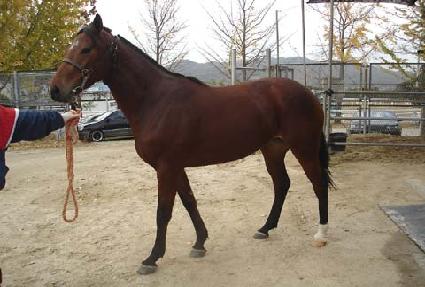 �ѾƸ� ����