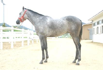 ����ǳ ����