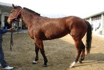 �־��� (JEWELRY QUEEN) ����