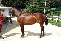 ���ǿ��� (HAPPY ENDING) ����