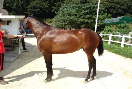 ���ǿ��� ����