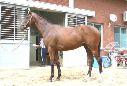 ���Ѽ��� ����