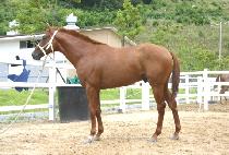 ���� (HUIBANGSA) ����