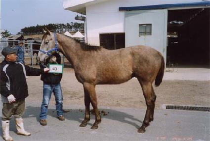 ����нǹ� ����