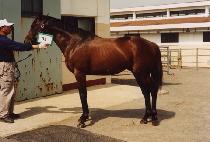 ���� (GANG GWON) ����