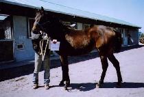 �±ع��� (TAEGEUK MUSA) ����