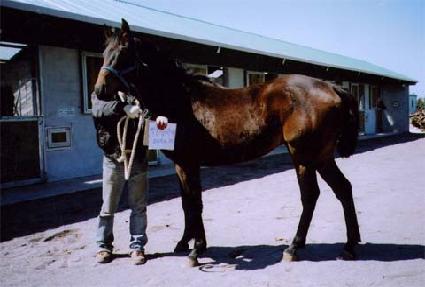 �±ع��� ����