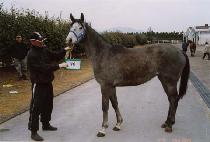 �����Ƕ� (GOYUUITTANG) ����