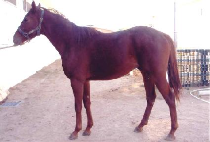 �ְ��ǽ��� ����