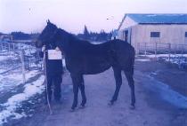 �︮���� (HELIOS) ����