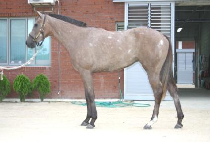 ����帲 ����