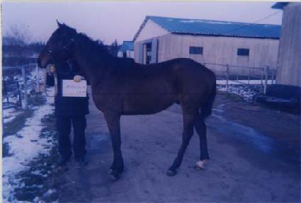 �׼��콺 ����