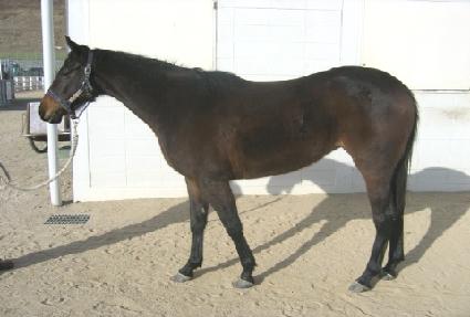 ��Ʈ���� ����