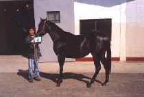 ���¸��� (YEONSEUNG MORI) ����