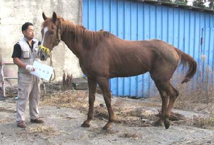 ����ȿ�� ����