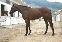 ĳ���ú�Ʈ (CASTINGVOTE) ����