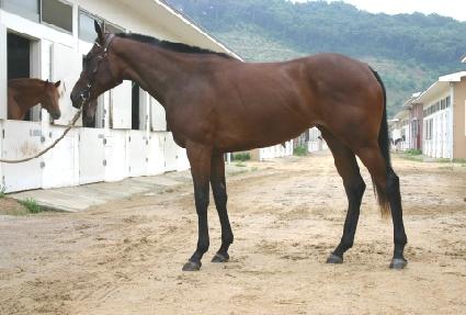 ĳ���ú�Ʈ ����