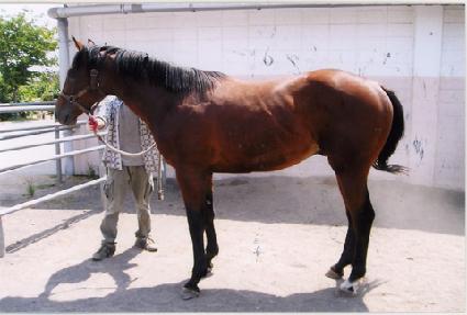 ���󵵾� ����