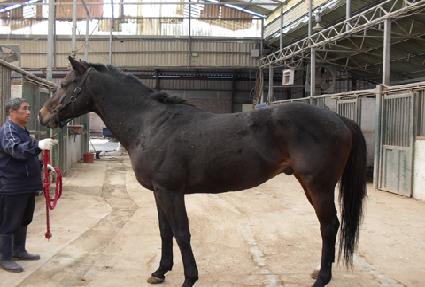 ȫ�� ����