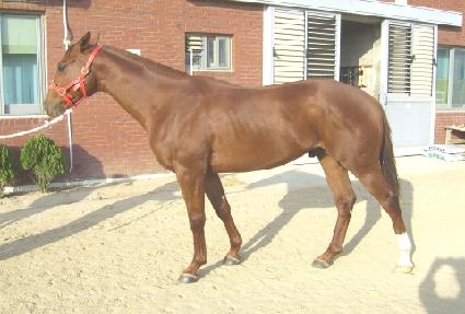 �����ظ� ����